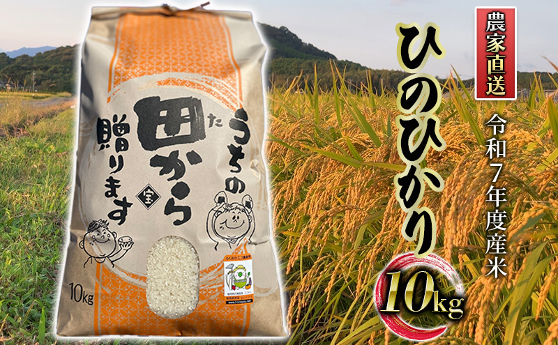米 10kg 令和7年度産米 ひのひかり 筑後小郡産 農家直送 お米 コメ