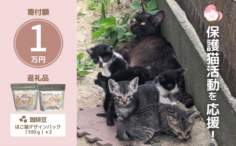 珈琲 さくらねこサポートOGORI 保護猫活動を応援！ コーヒー豆 100g×2袋 コーヒー 飲料