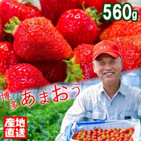 いちご 産地直送 栽培期間中 減農薬栽培 あまおう 2パック (約280g×2) イチゴ 苺 先行予約 ※配送不可：北海道、沖縄、離島
