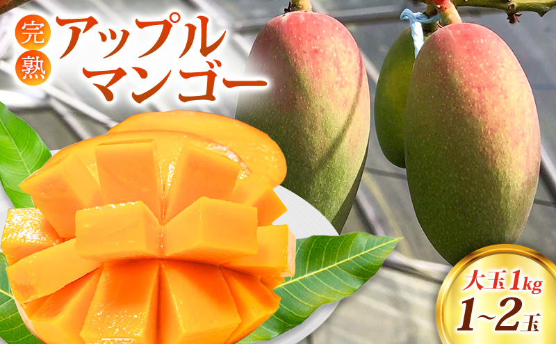 マンゴー 完熟 アップルマンゴー 1kg (大玉1～2玉) 果物 南国フルーツ 福岡県 小郡市