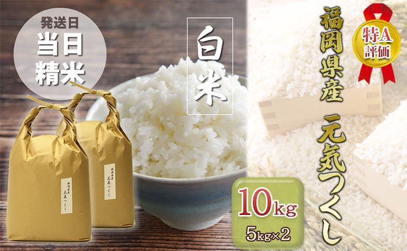 R7年産 米 元気つくし 10kg (5kg×2袋) 特A米 特a 発送当日精米