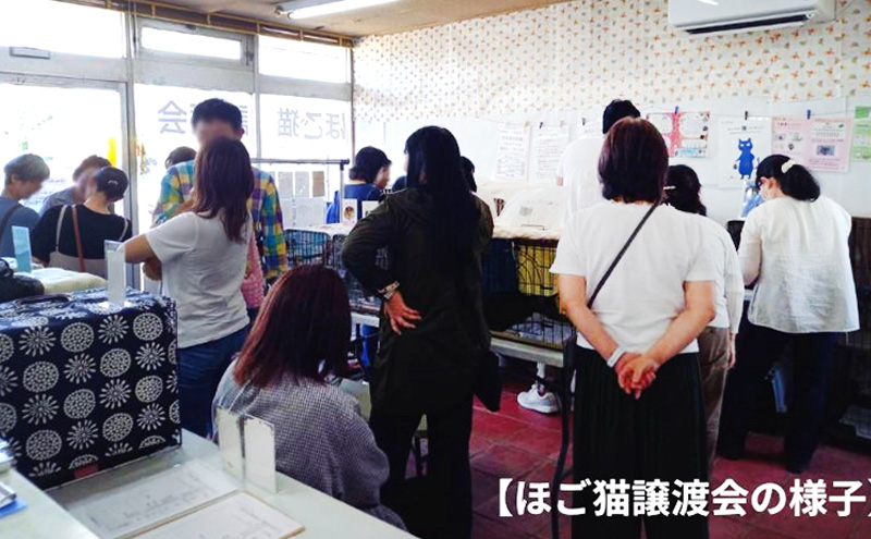 Tシャツ 猫の愛護活動を応援！白Tシャツ「パン持ちデザイン」：Lサイズ