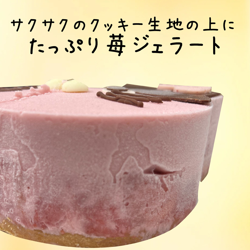 2回お届け いちご ジェラートケーキ あまおうと旬のいちご 各2パック いちご職人 白木のいちご あまおうづくし 2回 コース イチゴ 苺 果物 デザート お楽しみ ※配送不可：沖縄・離島