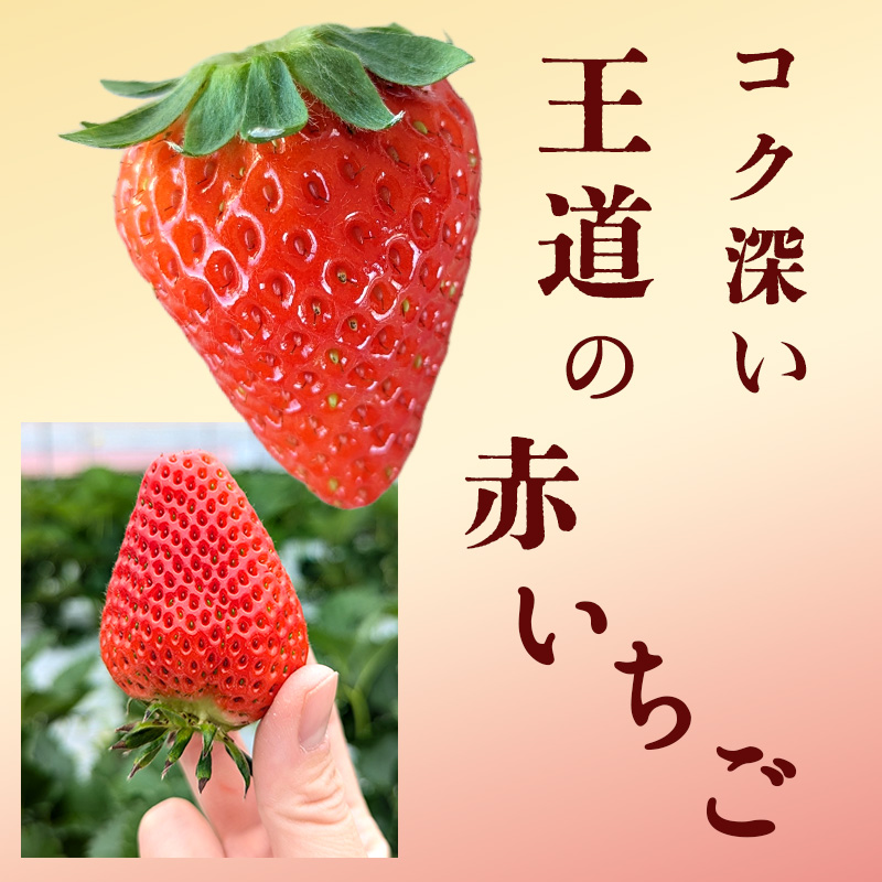【訳あり】冷凍いちご いちご 1kg入り 冷凍 フローズン 果物 デザート イチゴ 苺
