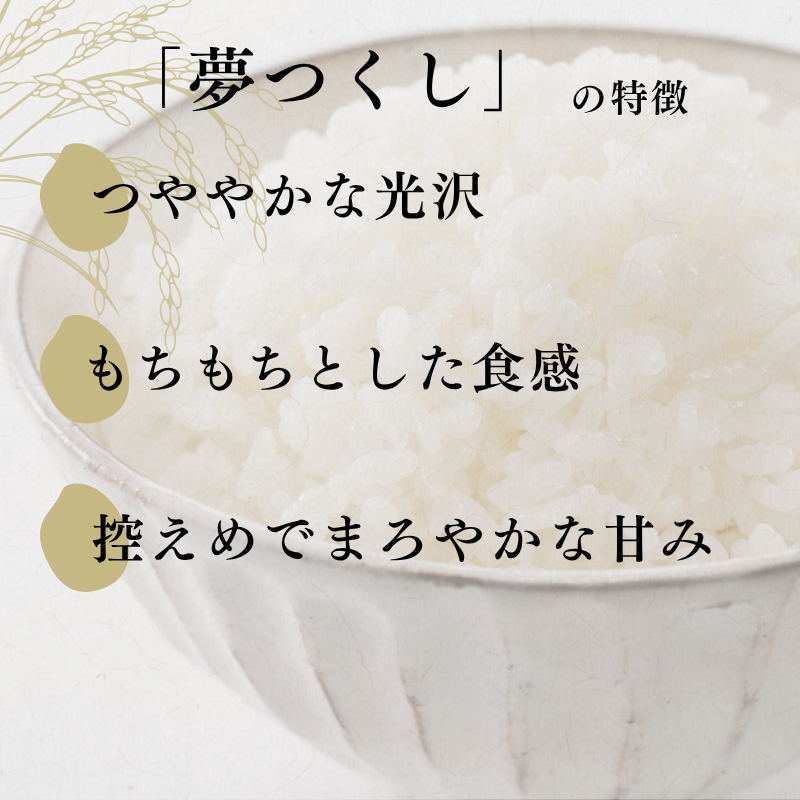 特別栽培米 R7年度産 福岡県 小郡産 夢つくし 5kg 米 お米