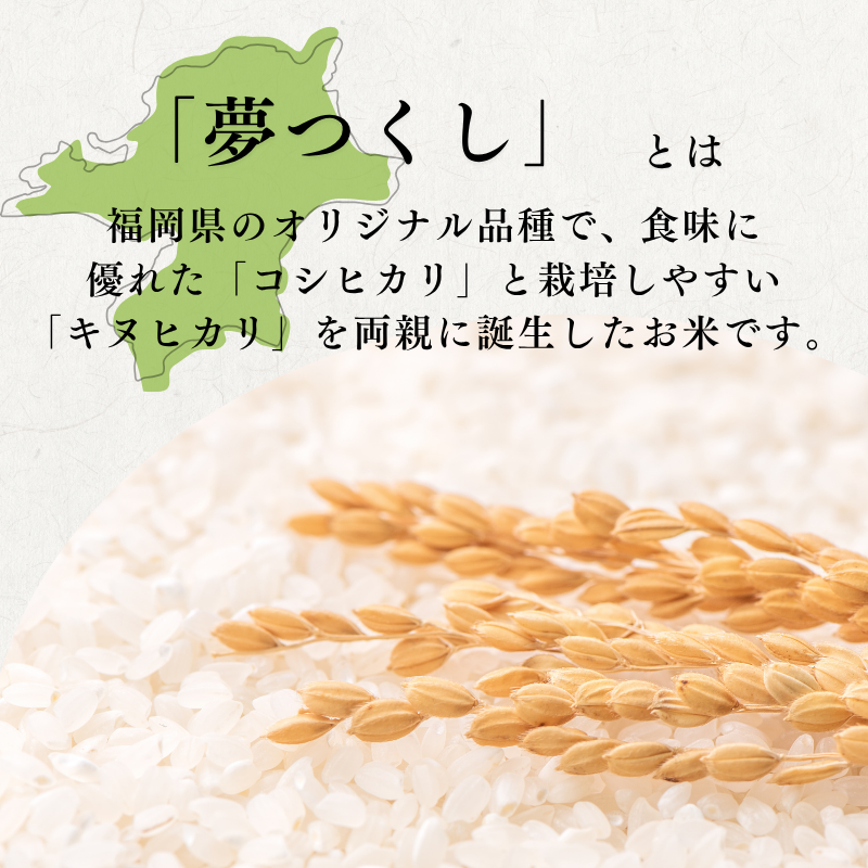 定期便 12回 特別栽培米 R7年度産 福岡県 小郡産 夢つくし 5kg 米 お米 12ヶ月