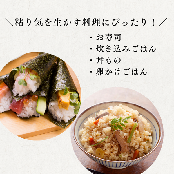 定期便 12回 特別栽培米 R7年度産 福岡県 小郡産 夢つくし 5kg 米 お米 12ヶ月