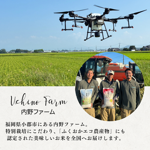 定期便 12回 特別栽培米 R7年度産 福岡県 小郡産 夢つくし 5kg 米 お米 12ヶ月