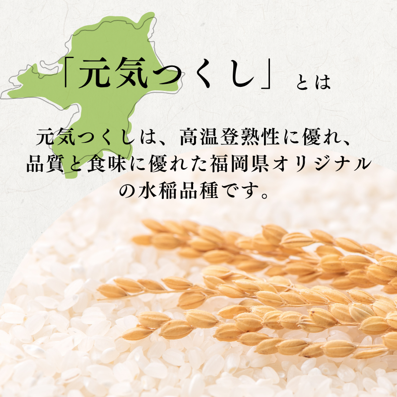 特別栽培米 R7年度産 福岡県 小郡産 元気つくし 5kg 米 お米