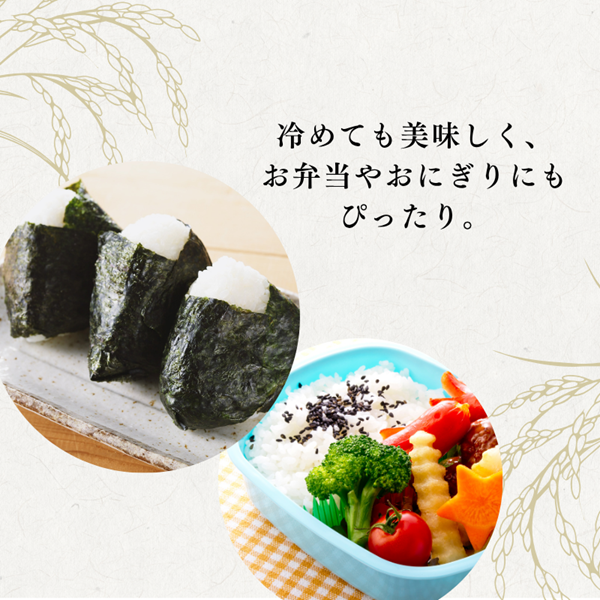 特別栽培米 R7年度産 福岡県 小郡産 元気つくし 5kg 米 お米