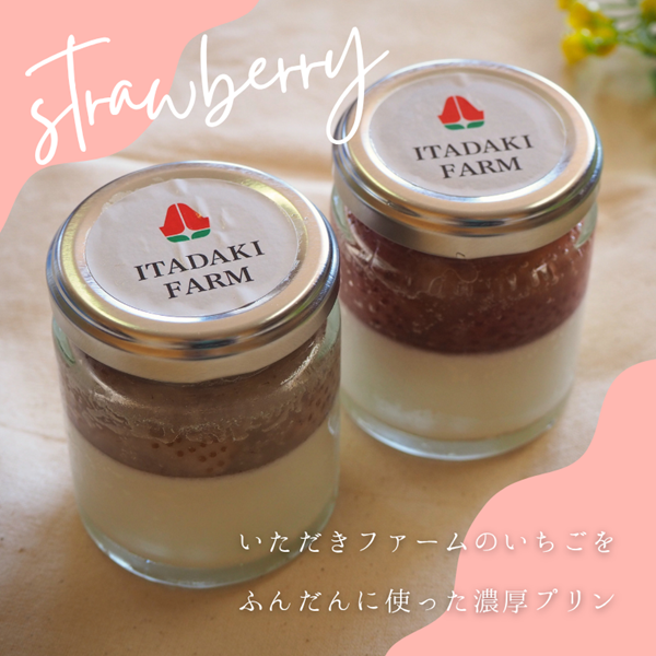 プリン 紅白プリン 5個入り イチゴ 苺 赤いちご 白いちご デザート フルーツ 果実 冷凍 ※配送不可:離島