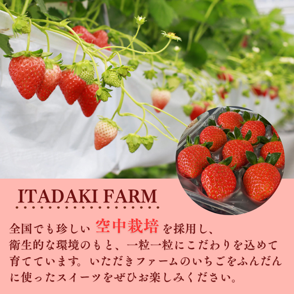 プリン 紅白プリン 5個入り イチゴ 苺 赤いちご 白いちご デザート フルーツ 果実 冷凍 ※配送不可:離島