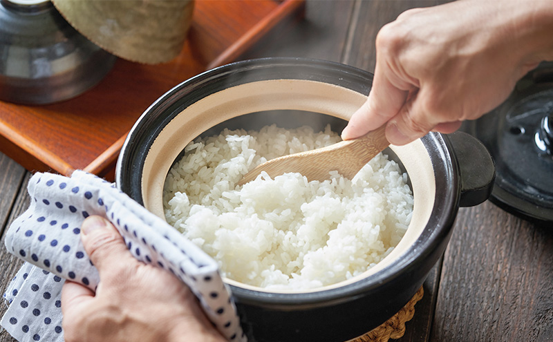 定期便 12回 米 七夕の里 白米 10kg (5kg×2袋) お米 コメ お楽しみ 12ヶ月