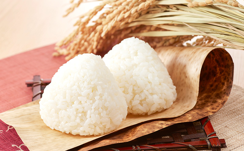 定期便 12回 米 七夕の里 白米 10kg (5kg×2袋) お米 コメ お楽しみ 12ヶ月