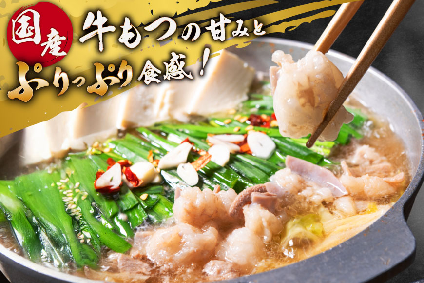 定期便 博多 本格 もつ鍋 2～3人前×6回【老舗人気店】 モツ鍋 もつなべ / 博多もつ鍋 太閤 / 福岡県 筑紫野市 [21760399]