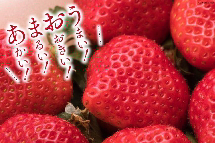 いちご 博多 冷凍あまおう 約500g×2袋 計約1kg [エイチアンドフューチャーズ 福岡県 筑紫野市 21760520] 果物 フルーツ 苺 イチゴ あまおう 冷凍いちご 冷凍苺 果実