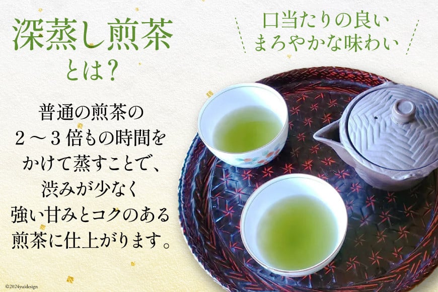 お茶 八女茶 極上煎茶・青（深蒸し煎茶）300g(100g×3袋) [Esprit 福岡県 筑紫野市 21760771] 茶 緑茶 深蒸し まろやか カテキン 前茶