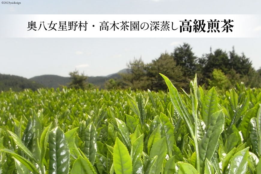 茶 深蒸し 高級 煎茶 (深蒸し茶) 100g×1袋 [ベネフィス 福岡県 筑紫野市 21760991] お茶 緑茶 日本茶 八女茶 煎茶 茶葉 星野茶 八女 奥八女星野村
