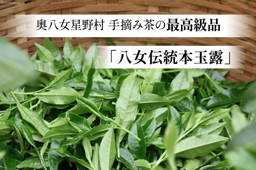 茶 伝統本玉露 50g×2袋 [ベネフィス 福岡県 筑紫野市 21760994] お茶 緑茶 日本茶 玉露 本玉露 八女茶 煎茶 茶葉 星野茶 奥八女星野村