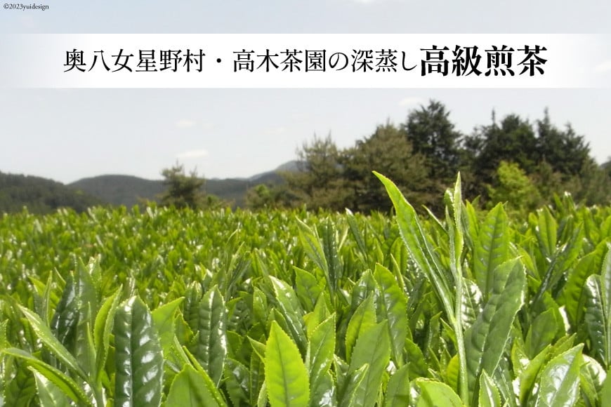 【 6回 定期便 】 茶 深蒸し 高級 煎茶 (深蒸し茶) 100g×2袋×6回 [ベネフィス 福岡県 筑紫野市 21760995] お茶 緑茶 日本茶 八女茶 煎茶 茶葉 星野茶 八女 奥八女星野村