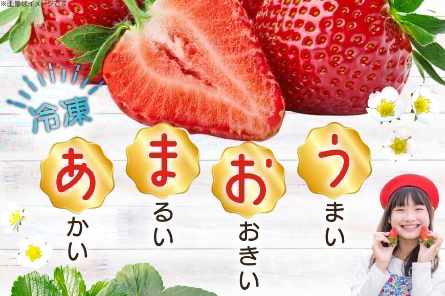 いちご 冷凍 あまおう 約4kg [mhshops 福岡県 筑紫野市 21761025] 冷凍いちご 冷凍イチゴ イチゴ 苺