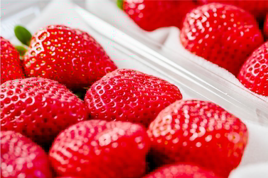 【期間限定発送】 いちご 春の苺 あまおう 6パック [南国フルーツ 福岡県 筑紫野市 21760095] いちご 苺 イチゴ フルーツ 果物 期間限定 季節限定 福岡県産 甘い 春苺