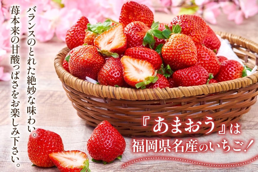 【期間限定発送】 いちご 春の苺 あまおう 4パック [南国フルーツ 福岡県 筑紫野市 21760096] いちご 苺 イチゴ フルーツ 果物 期間限定 季節限定 福岡県産 甘い