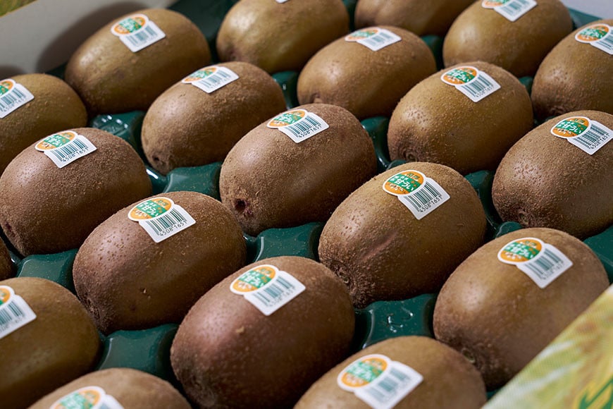 【期間限定発送】福岡のブランド 国産 キウイ！甘酸っぱい！甘うぃ（キウイ）約3kg 24～33玉 [南国フルーツ 福岡県 筑紫野市 21760125]