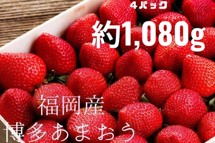 先行受付 博多あまおう 約270g×4 / エイチアンドフューチャーズ / 福岡県 筑紫野市 [21760414] 果物 フルーツ いちご イチゴ 苺 朝採り 新鮮