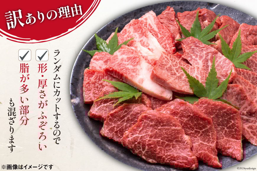 訳あり 博多和牛 A4～A5 切り落とし 焼肉 (肩ロース or バラ）500g 化粧箱 / MEAT PLUS / 福岡県 筑紫野市 [21760469] 肉 牛肉 和牛 黒毛和牛 冷凍