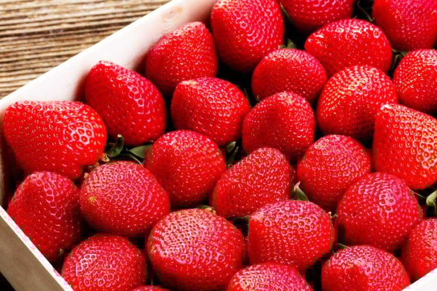 先行受付 【 博多あまおう 】 いちご 約270g×4p / エイチアンドフューチャーズ / 福岡県 筑紫野市 [21760472] 果物 フルーツ いちご イチゴ 苺 朝採り 新鮮