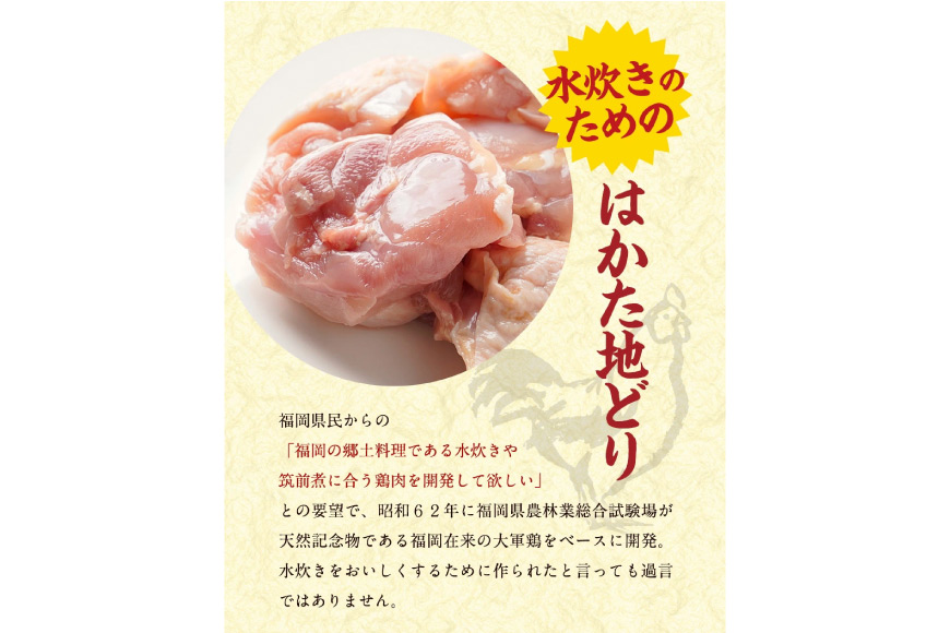 鍋 はかた地どり 美人水炊きセット 鶏肉2種 スープ 麺 コラーゲン 計5種 2～3人前 [MEAT PLUS 福岡県 筑紫野市 21760711] 水炊き 鶏 鶏肉 とり肉 鶏団子 博多 国産