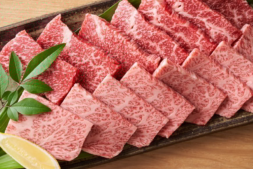 博多和牛 A4以上 焼肉セット 500g [MEAT PLUS 福岡県 筑紫野市 21760740] 肉 牛肉 和牛 黒毛和牛 焼肉 冷凍