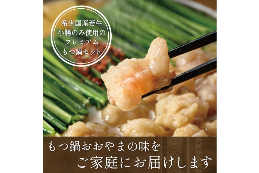 もつ鍋 6回 定期便 おおやま 博多もつ鍋 みそ味 しょうゆ味 交互発送 各2人前 総計12人前 [ラブ 福岡県 筑紫野市 21760981] もつ鍋セット モツ鍋 もつ鍋おおやま 味噌 みそ 醤油 しょうゆ