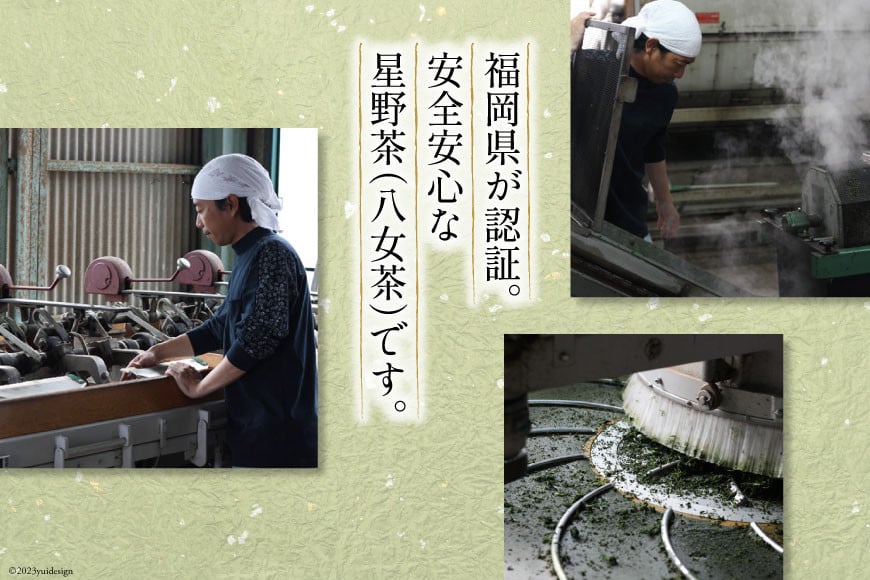 茶 深蒸し 高級 煎茶 (深蒸し茶) 100g×1袋 [ベネフィス 福岡県 筑紫野市 21760991] お茶 緑茶 日本茶 八女茶 煎茶 茶葉 星野茶 八女 奥八女星野村