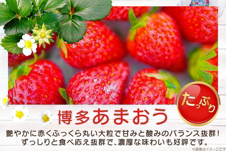 いちご 冷凍 あまおう 約2kg [mhshops 福岡県 筑紫野市 21761026] 冷凍いちご 冷凍イチゴ イチゴ 苺