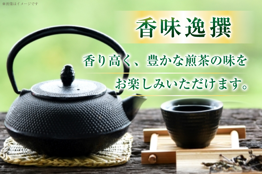 お茶 八女茶 煎茶 セット 100g 2袋 [木村食品 福岡県 筑紫野市 21761043] 茶葉 やめちゃ お茶の葉