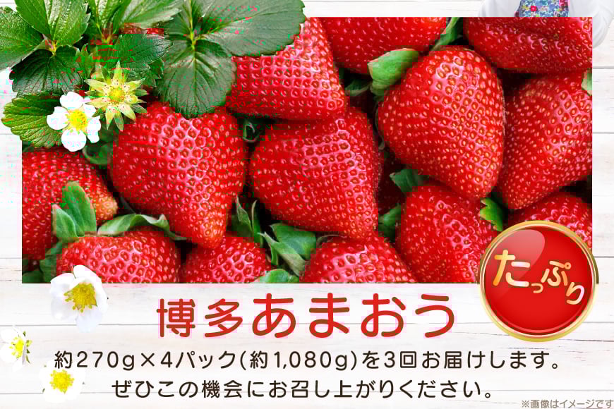 【期間限定発送】 いちご 3回 定期便 福岡県産 完熟 博多 あまおう 270g 4p 総計12p [mhshops 福岡県 筑紫野市 21761227] イチゴ 苺 フルーツ 果物 くだもの 4パック