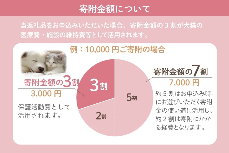保護猫 支援 猫保護活動への支援 ポストカード [地域ねこサポート会ちくしの 福岡県 筑紫野市 21761293] 保護 動物 猫 応援 ネコ ねこ ペット動物愛護 愛護 保護活動 クリポス メール便 メール便対応