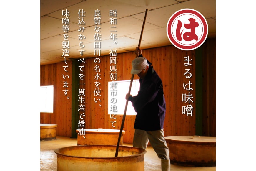 博多もつ鍋 セット (九州味噌仕立て) 4～6人前 [ベネフィス 福岡県 筑紫野市 21761393] 鍋 もつ鍋 モツ鍋 もつ モツ 味噌 みそ 博多 福岡 国産 国産牛 本場 ホルモン 冷凍