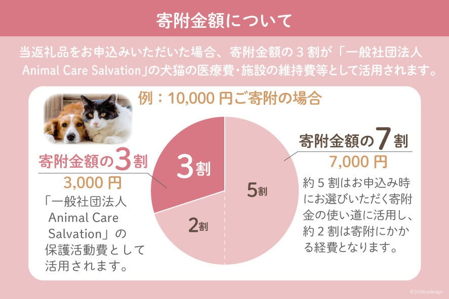 愛護支援 去勢 避妊治療支援 100万円分 [Animal Care Salvation 福岡県 筑紫野市 21761398] 動物 ペット 愛護 TNR 保護 動物福祉 保護施設 里親 犬 猫 イヌ ネコ いぬ ねこ 動物愛護 保護活動 支援