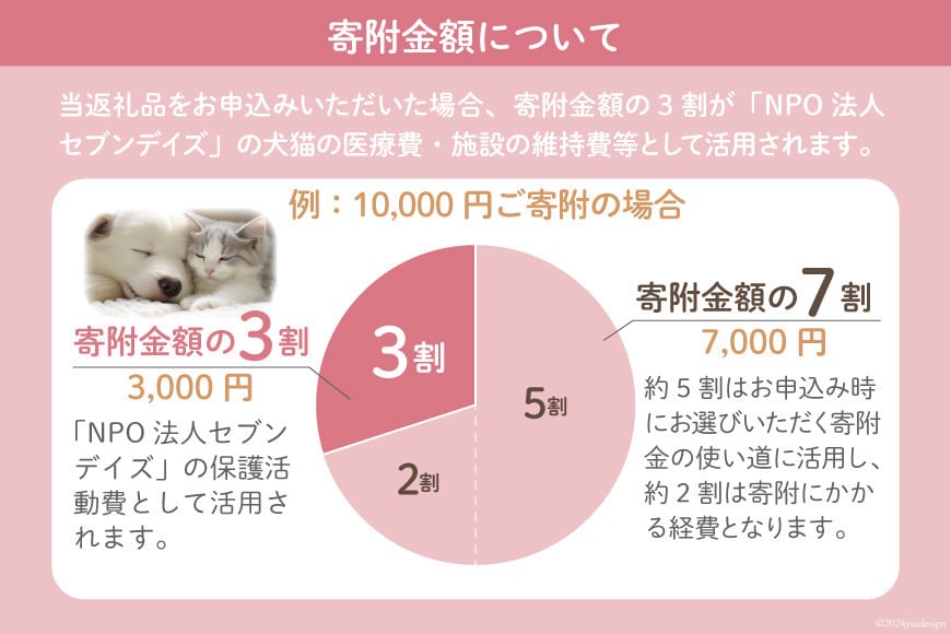 犬猫保護活動への支援 10万円 [NPO法人セブンデイズ 福岡県 筑紫野市 21761400] 保護 動物 犬 猫 犬猫 保護犬 支援 応援 イヌ ネコ いぬ ねこ ペット動物愛護 愛護 保護活動