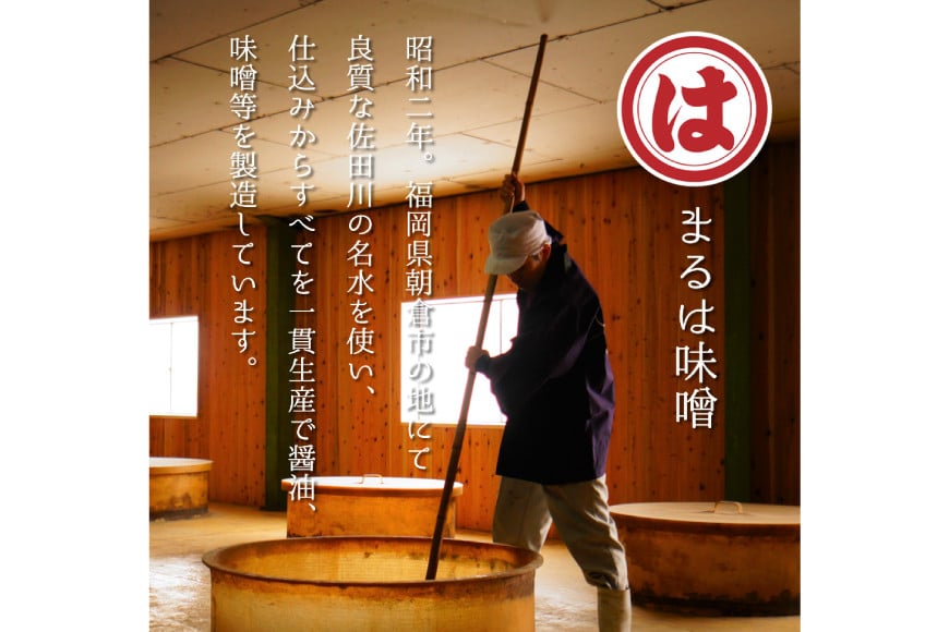 博多もつ鍋 セット (九州味噌仕立て) 2～3人前 [ベネフィス 福岡県 筑紫野市 21761405] もつ鍋 モツ鍋 もつ モツ 味噌 みそ 博多 福岡 国産 国産牛 本場 ホルモン 冷凍