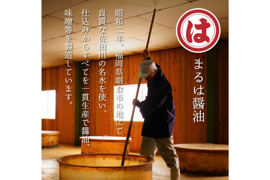 博多もつ鍋 セット (九州醤油仕立て) 2～3人前 [ベネフィス 福岡県 筑紫野市 21761406] もつ鍋 モツ鍋 もつ モツ 醤油 しょうゆ 博多 福岡 国産 国産牛 本場 ホルモン 冷凍