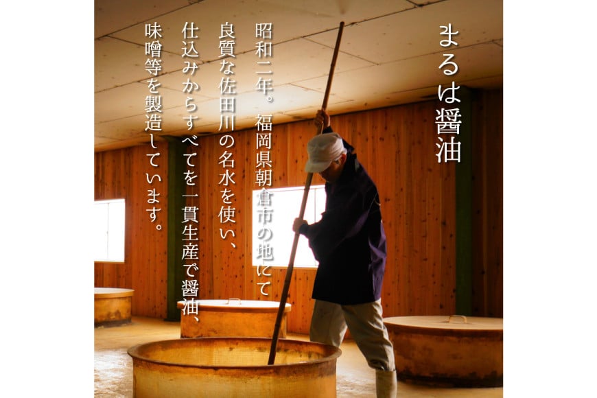 博多もつ鍋 セット (九州醤油仕立て) 4～6人前 [ベネフィス 福岡県 筑紫野市 21761408] 鍋 もつ鍋 モツ鍋 もつ モツ 醤油 しょうゆ 博多 福岡 国産 国産牛 本場 ホルモン 冷凍