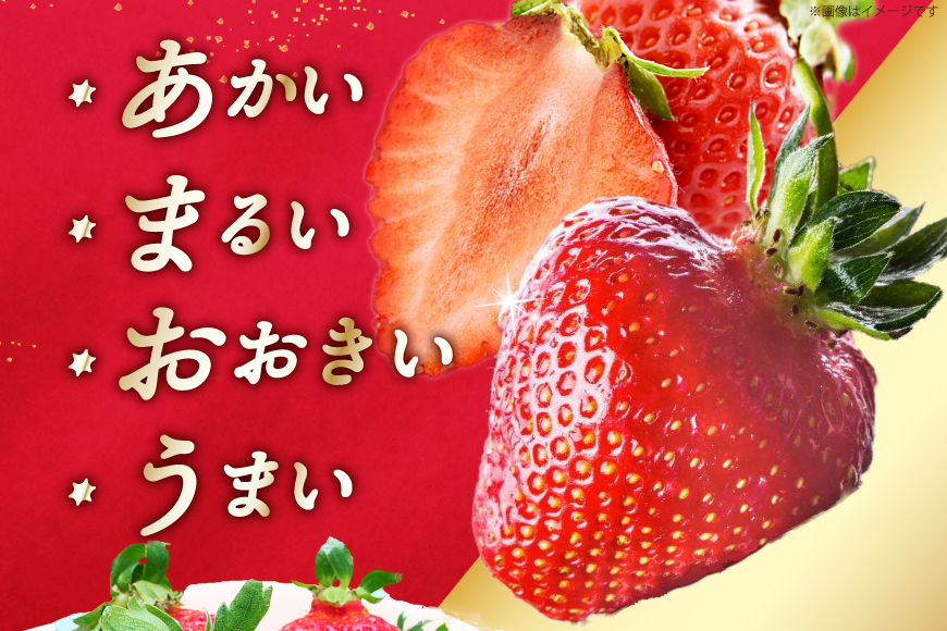 先行受付 【 博多あまおう 】 いちご 約270g×2p / エイチアンドフューチャーズ / 福岡県 筑紫野市 [21760471] 果物 フルーツ いちご イチゴ 苺 朝採り 新鮮