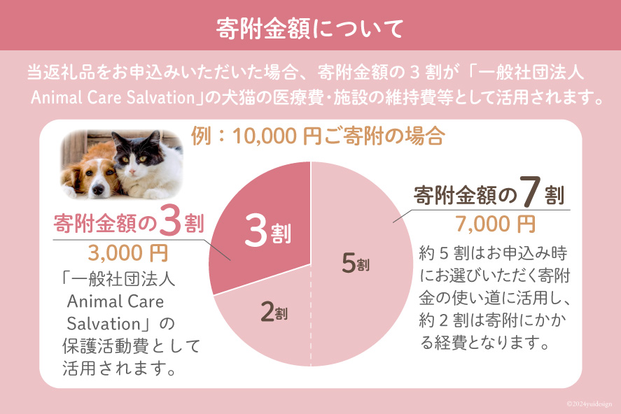 愛護支援、去勢・避妊治療支援 2000円 [Animal Care Salvation 福岡県 筑紫野市 21760765] 動物 ペット 愛護 TNR 保護 動物福祉 保護施設 里親 犬 猫 イヌ ネコ いぬ ねこ 動物愛護 保護活動 支援