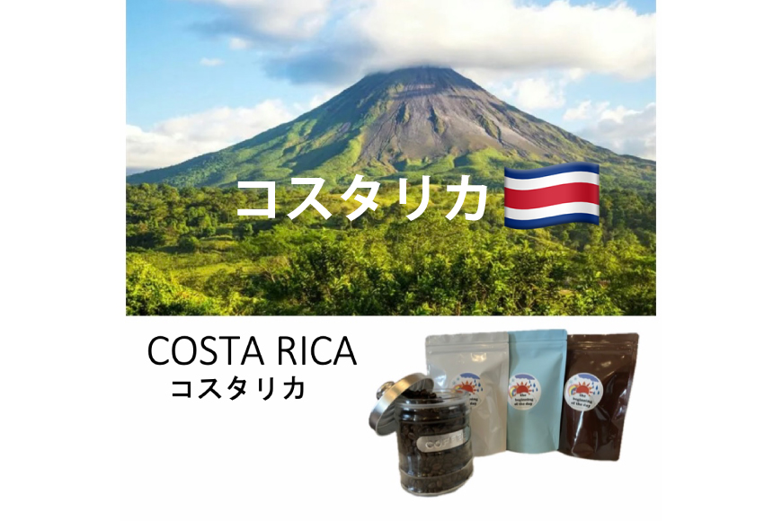 コーヒー豆 3ヶ月 定期便 100g×3 [いち日のはじまり 福岡県 筑紫野市 21761469] コーヒー 珈琲豆 珈琲 豆