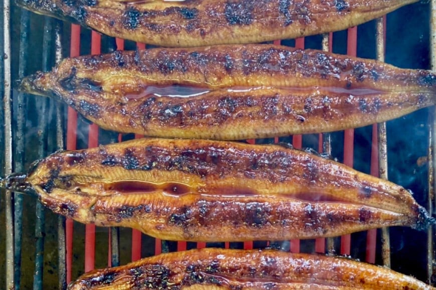 創業100年の味 鰻の蒲焼 4尾 秘伝のタレと山椒付き / 川魚料理 鯉ひろまつ 福岡県 筑紫野市