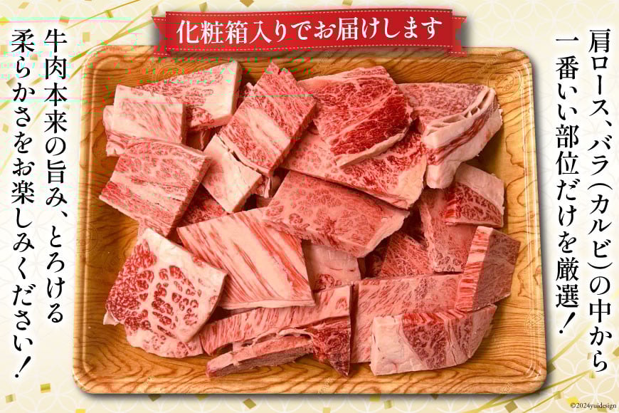 訳あり 博多和牛 A4～A5 切り落とし 焼肉 (肩ロース or バラ）500g 化粧箱 / MEAT PLUS / 福岡県 筑紫野市 [21760469] 肉 牛肉 和牛 黒毛和牛 冷凍